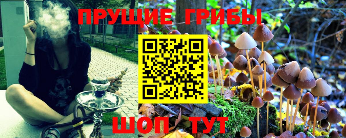 Галлюциногенные грибы мицелий  Вход с VPN  Усинск  Псилоцибиновые грибы мухоморы 